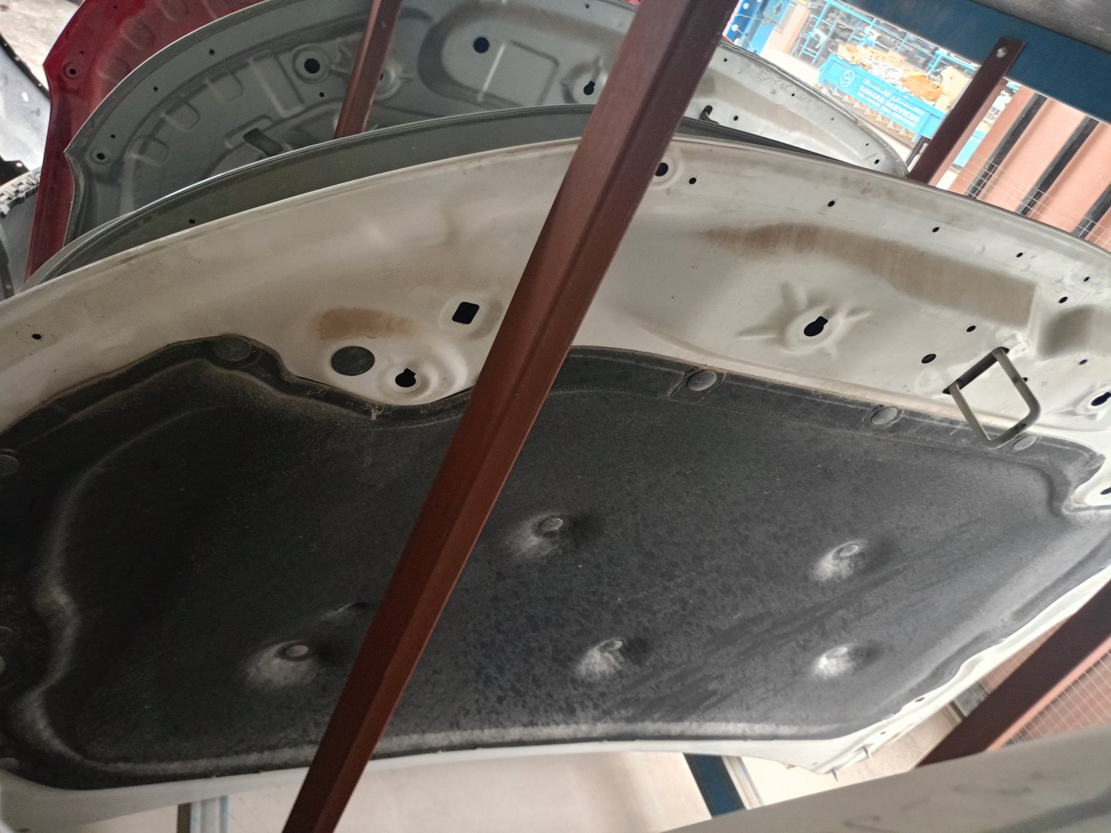 كبوت هافال 6 _9