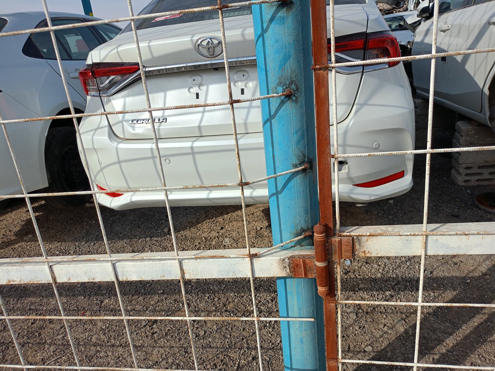 صدام كورولا خلف موديل 2024